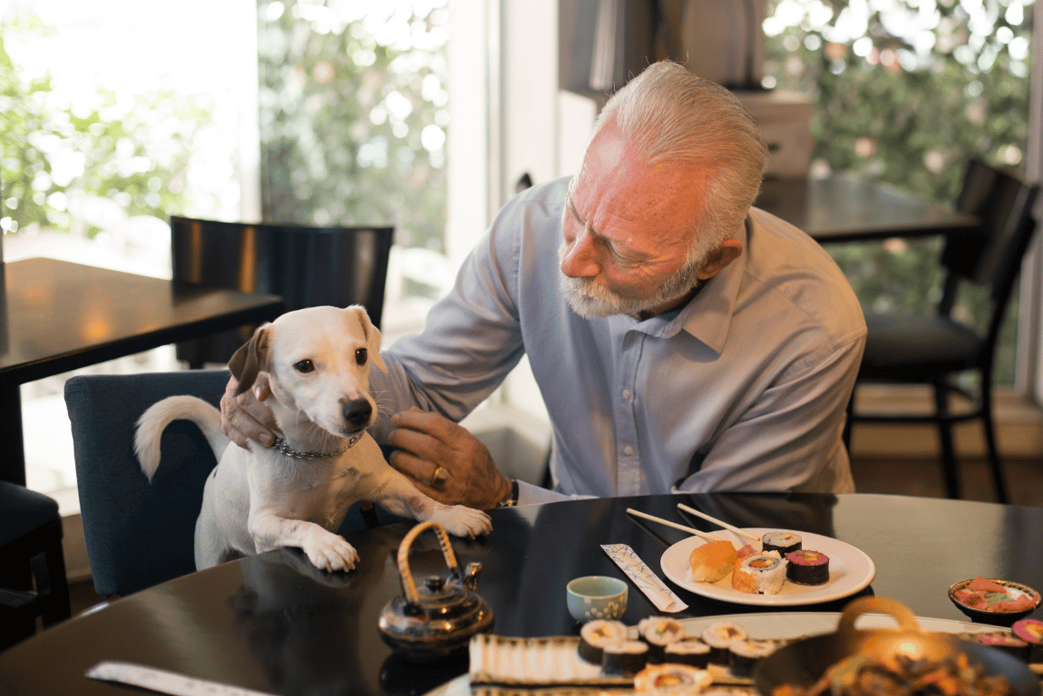 Pet-Friendly Cafés and Relaxed Places to Eat