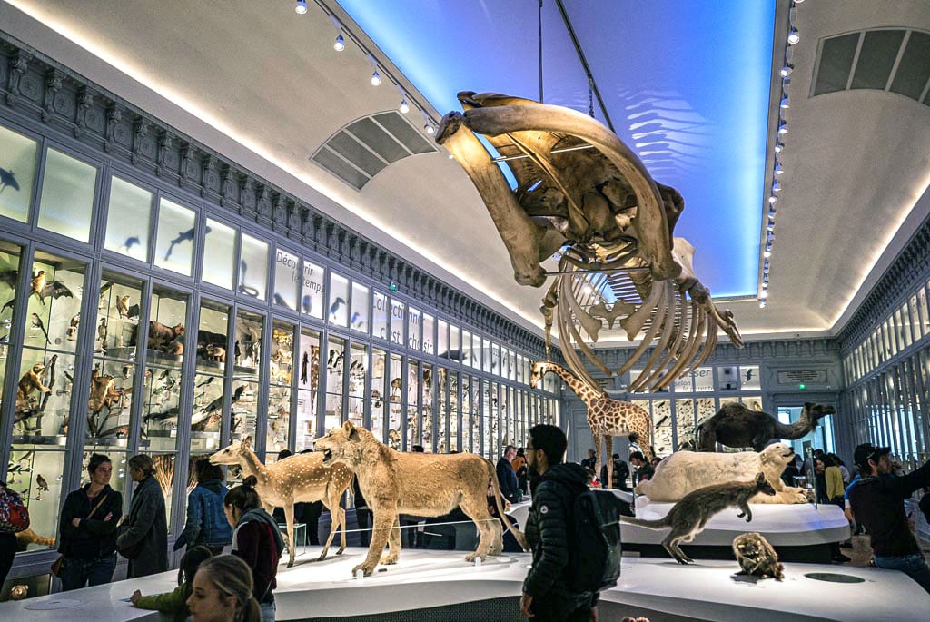 Museums, Art, and Culture
