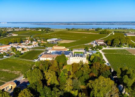 The Central Médoc: Vineyards Gaining Structure
