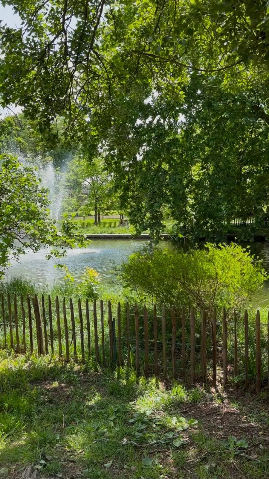 <strong>Parc Rivi&egrave;re &ndash; A Hidden Garden Near the City Centre</strong>