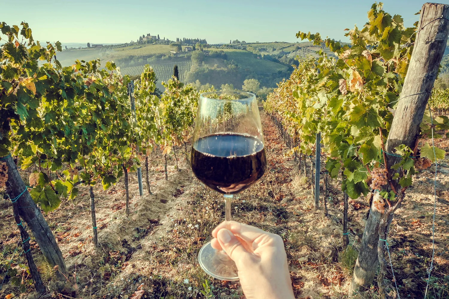 <strong> Take a Wine Tour to Saint Emilion</strong>
