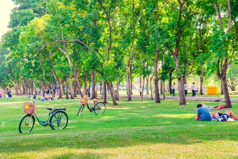 Bordeaux is not just about wine and architecture—it’s also one of the greenest cities in France. With over 2,000 hectares of green space, the city offers plenty of public parks and gardens perfect for relaxing, walking, or spending time with family.