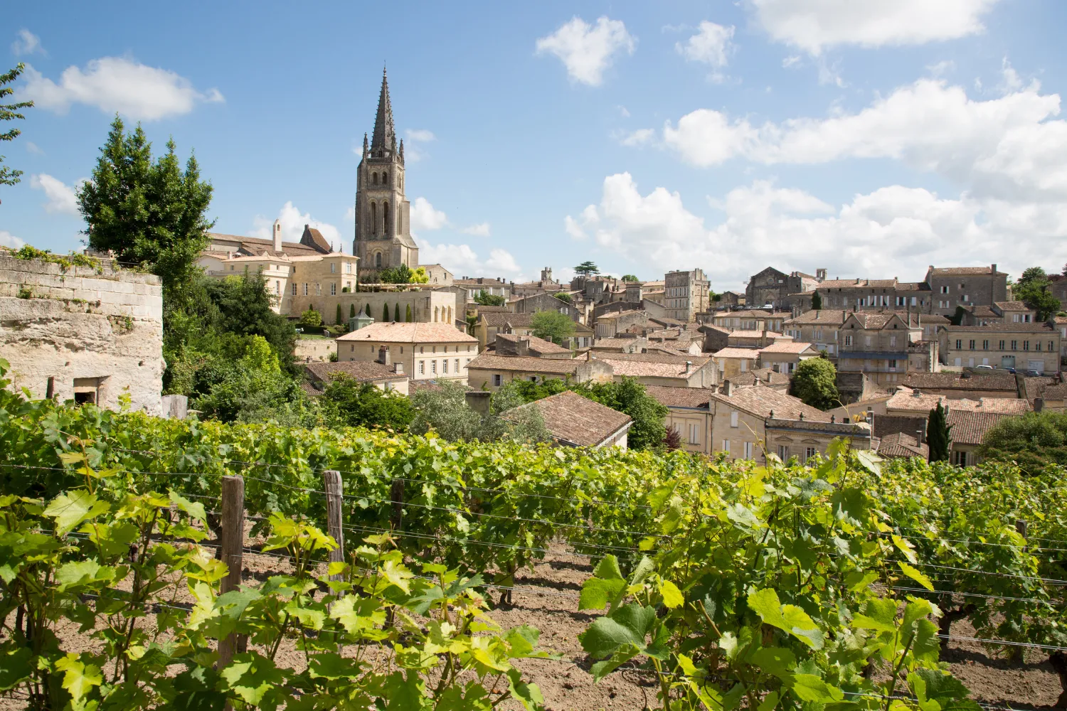 <strong>Bordeaux: The World Capital of Wine</strong>