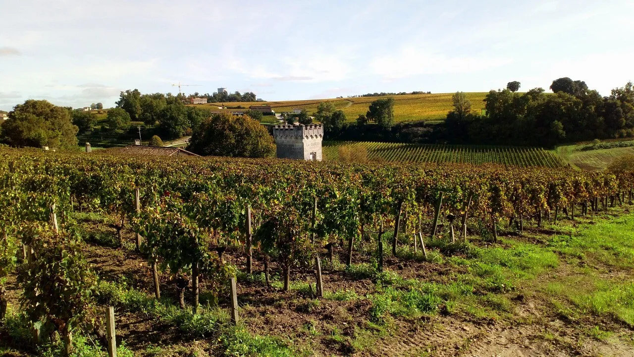 Best Wine Tours and Tastings in November