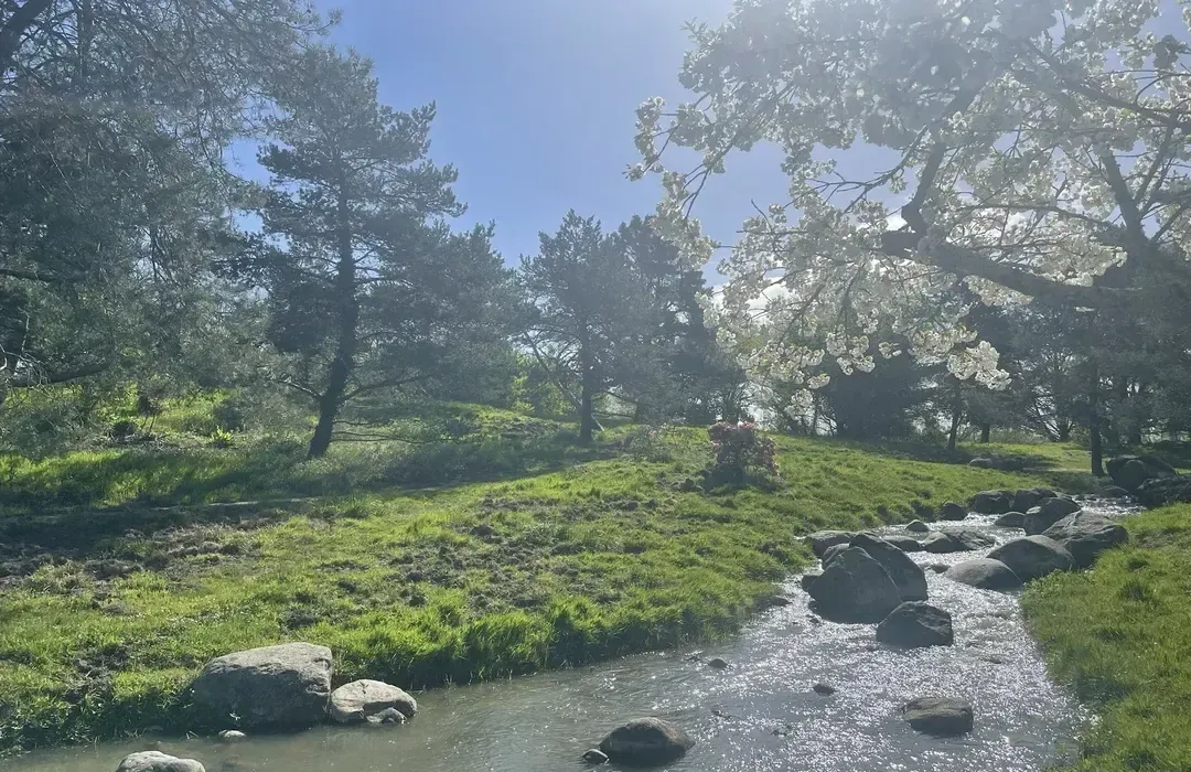 <strong>7. Bois de Bordeaux and the Lakes</strong>