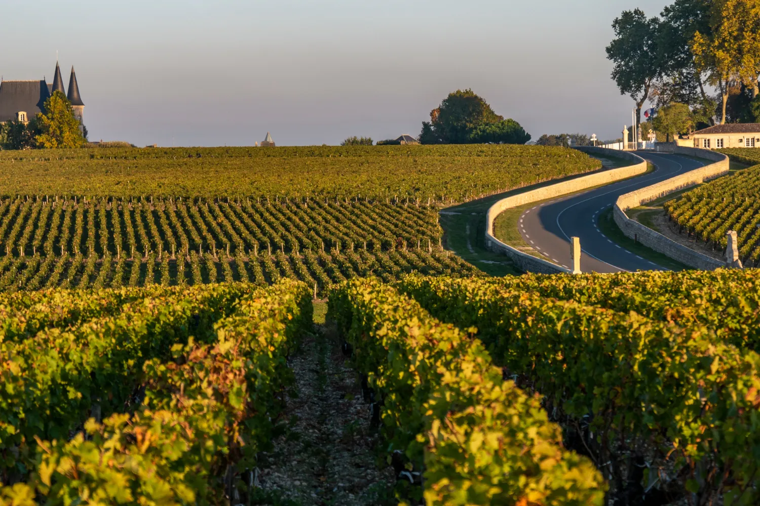 <strong>3. M&eacute;doc Wine Route and Lacanau: Wine Country Meets the Atlantic</strong>