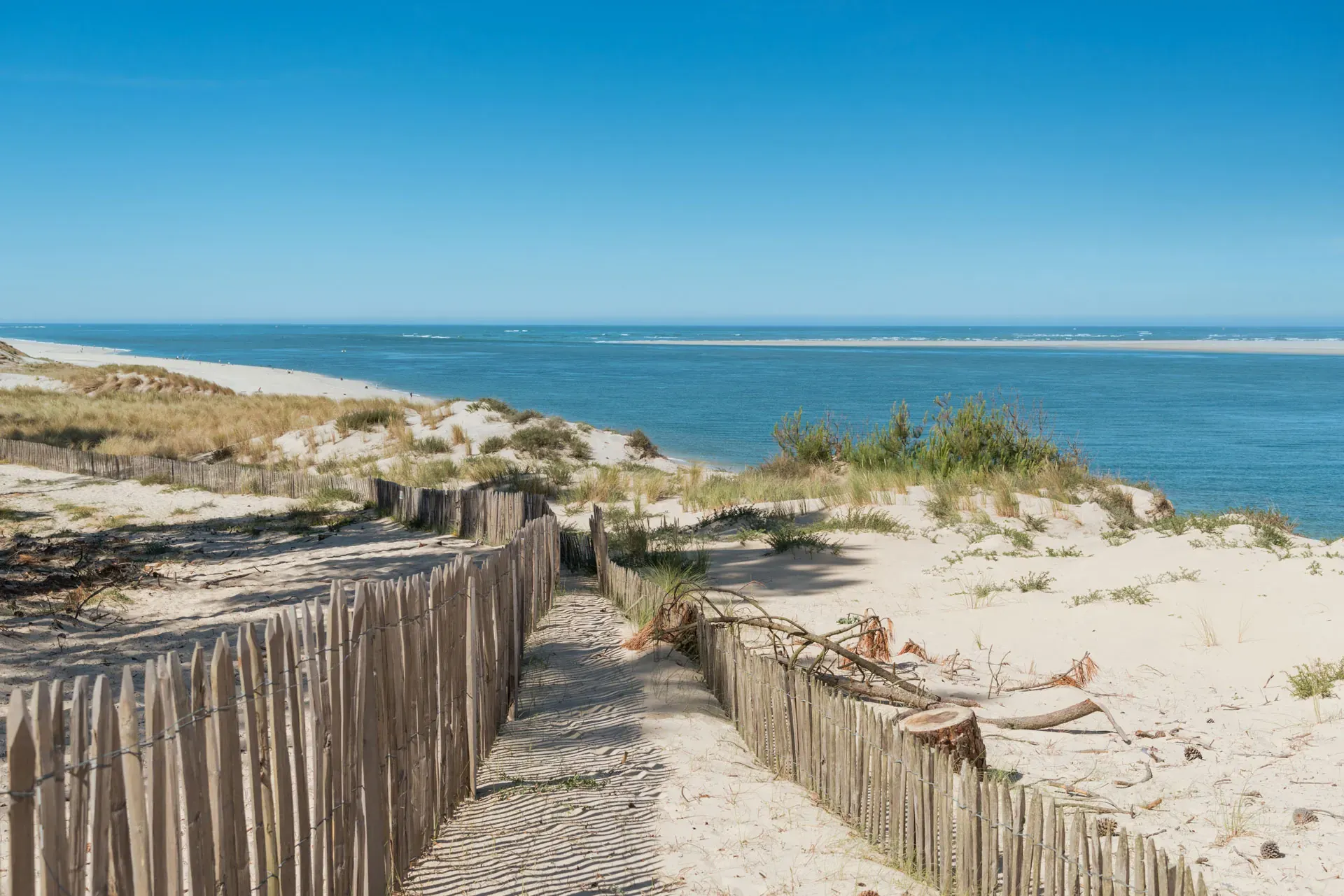 Arcachon Beach and the Tides of the Basin