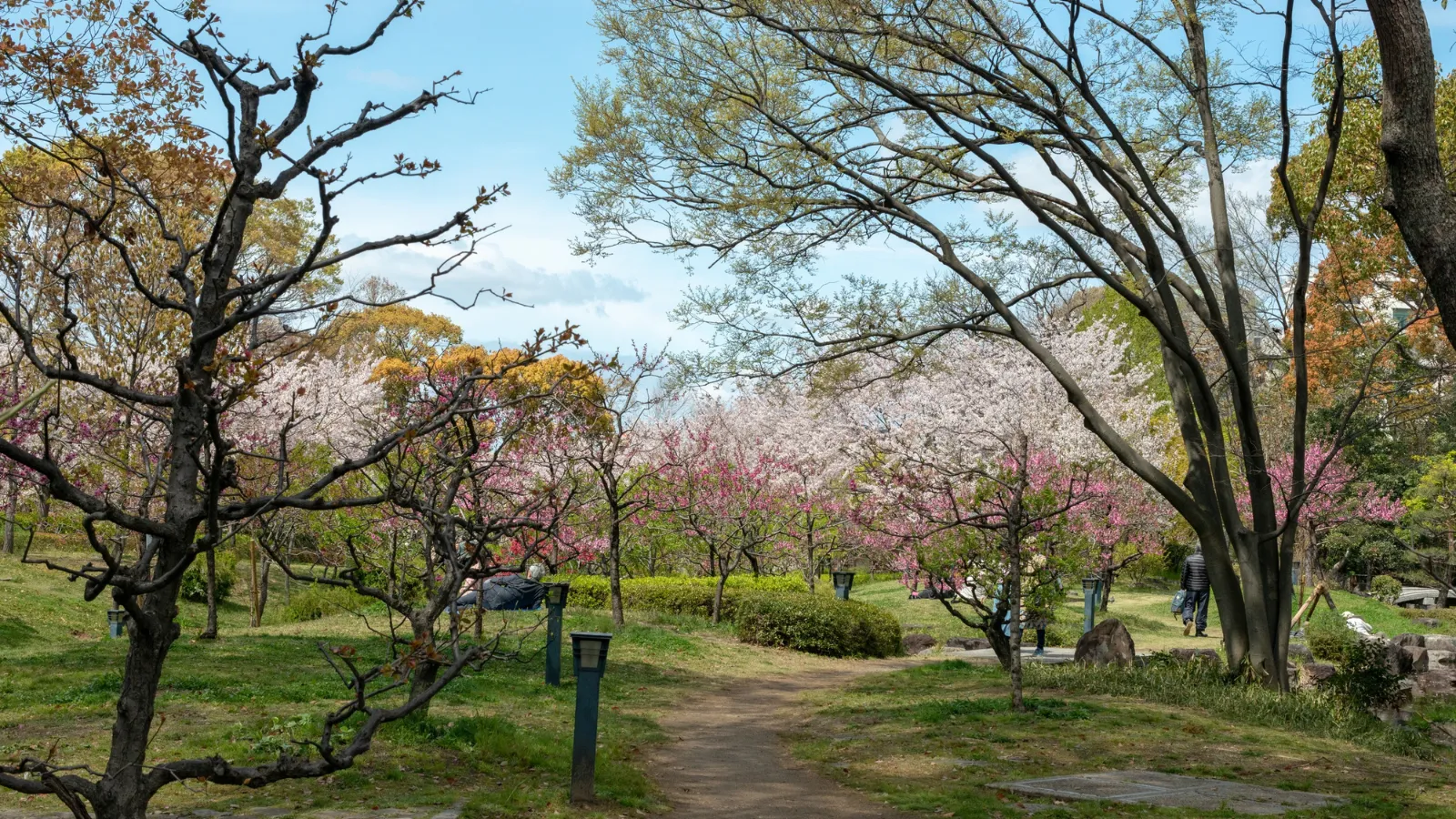 Parks and Gardens Blooming Across the City