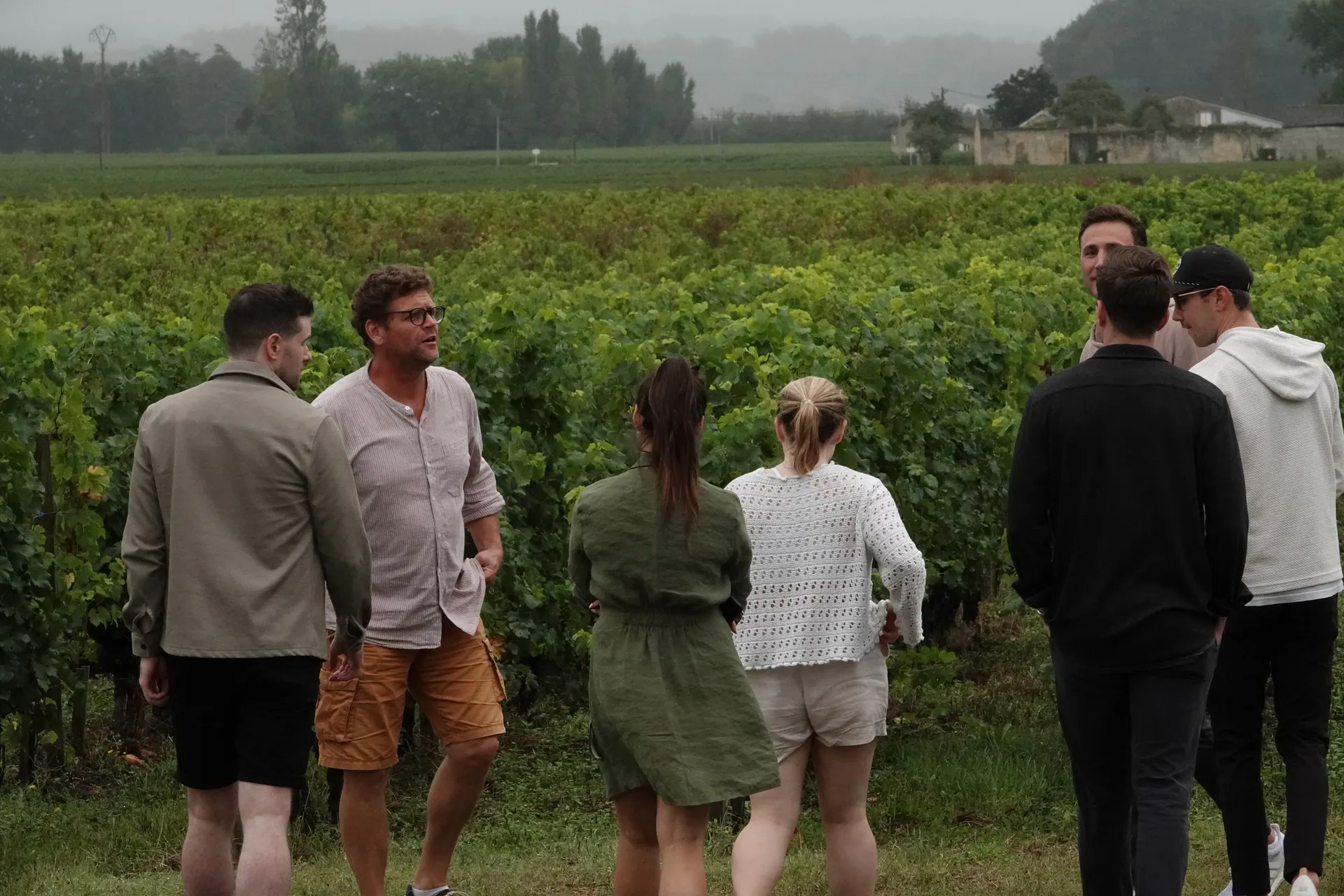 <strong>Take a Saint &Eacute;milion Wine Tour</strong>