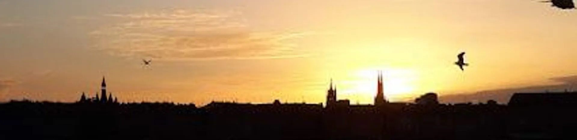 3. Quai de Queyries (Right Bank Skyline View)