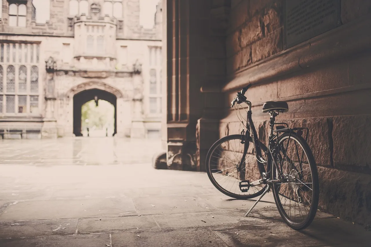 Explore Bordeaux on a bicycle