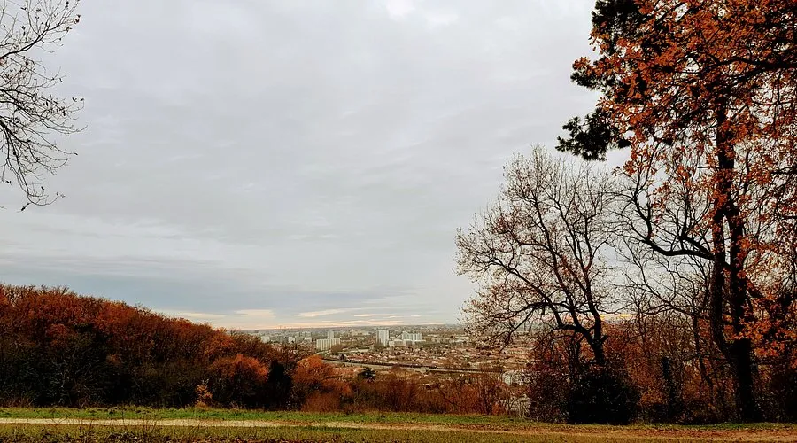 6. Parc Palmer