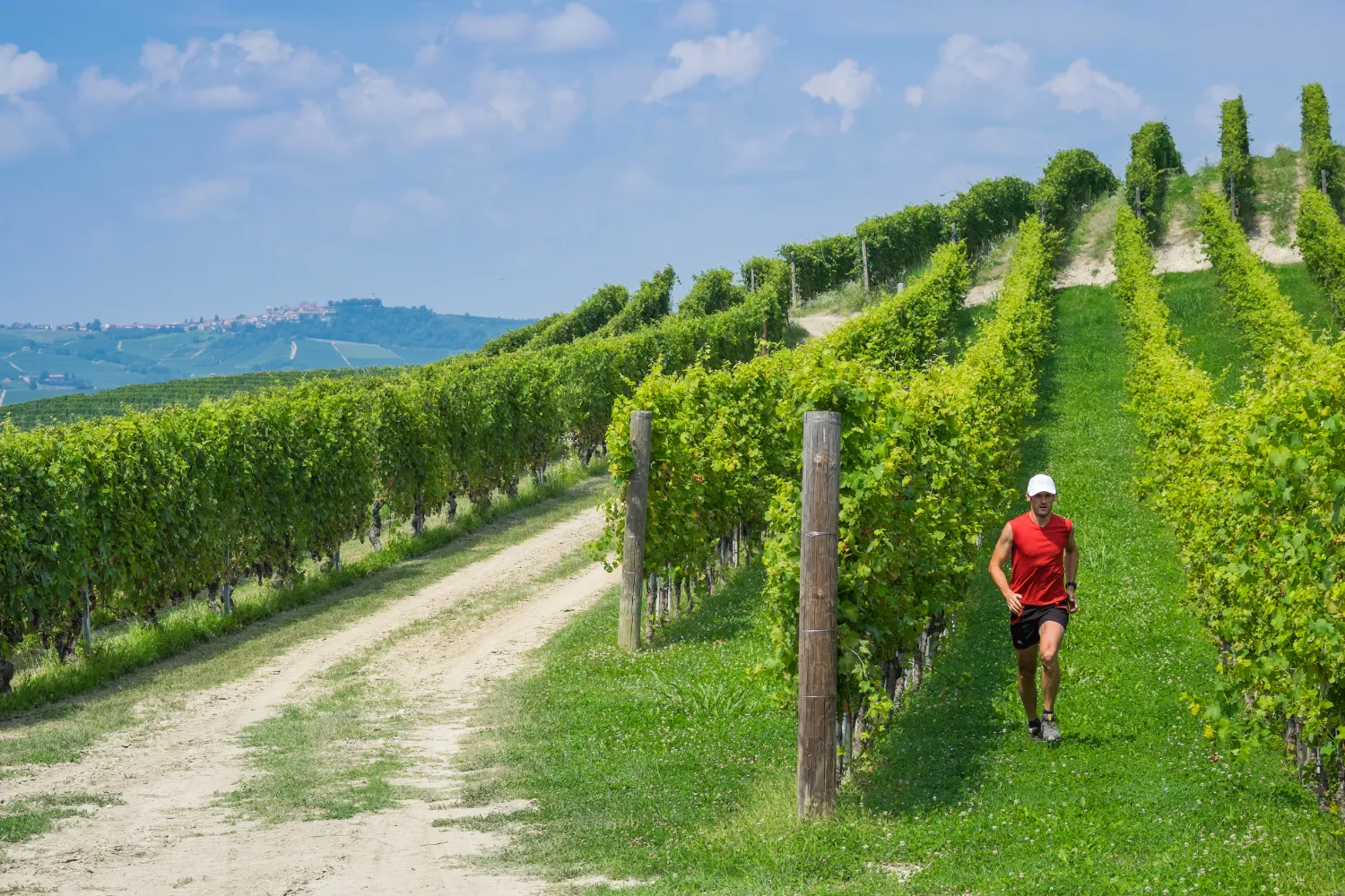<strong>Vineyard Hikes in Saint-&Eacute;milion</strong>