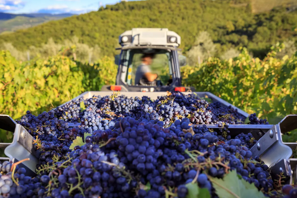 Autumn: The Season of Harvest and Culture