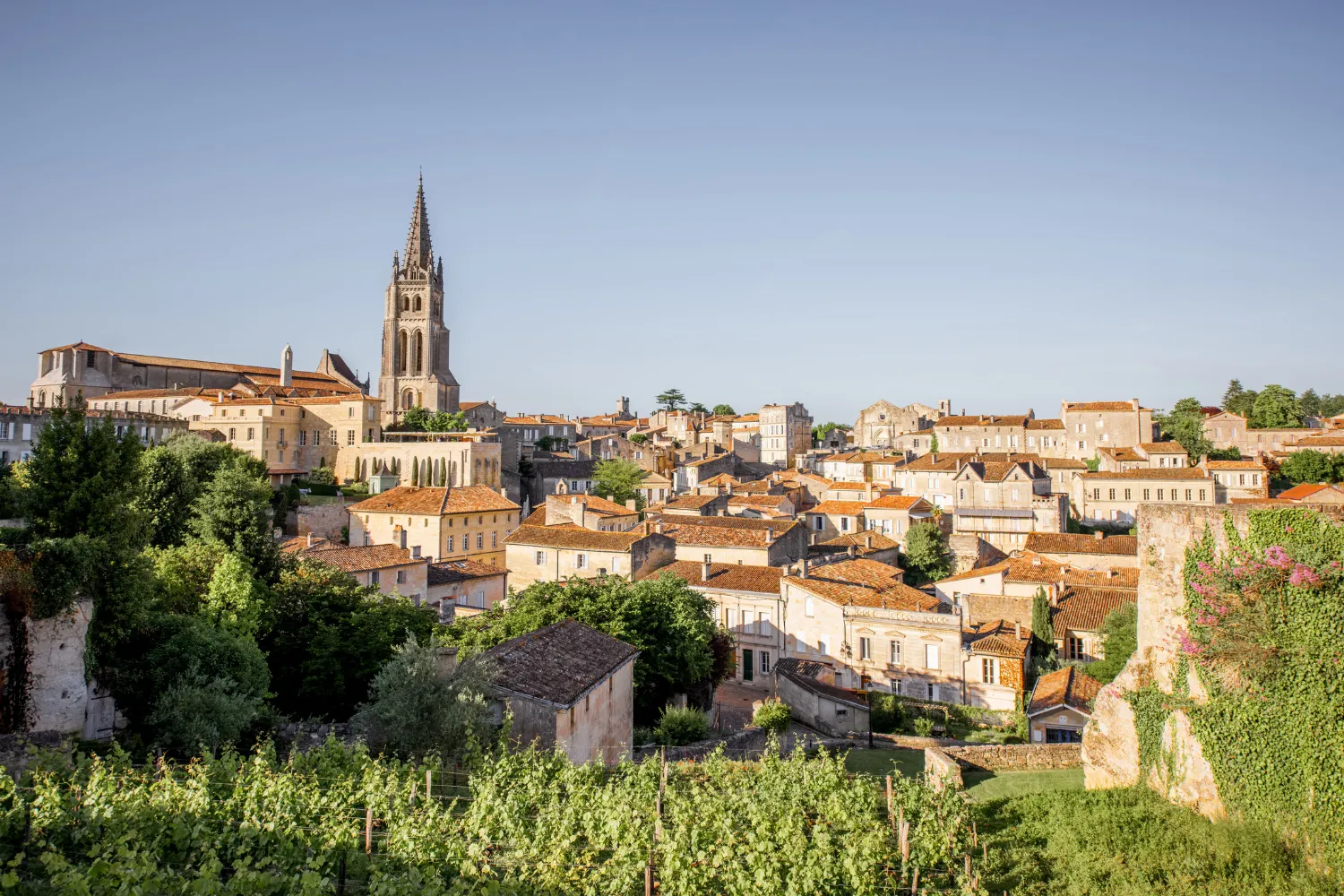 <strong>1. Saint-&Eacute;milion: Wine, History, and Heritage</strong>