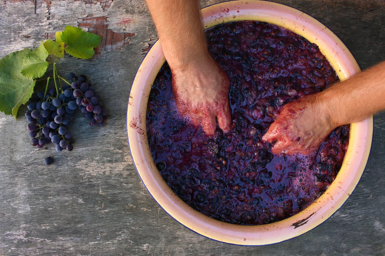 <strong>Why You Should Visit During the Harvest</strong>