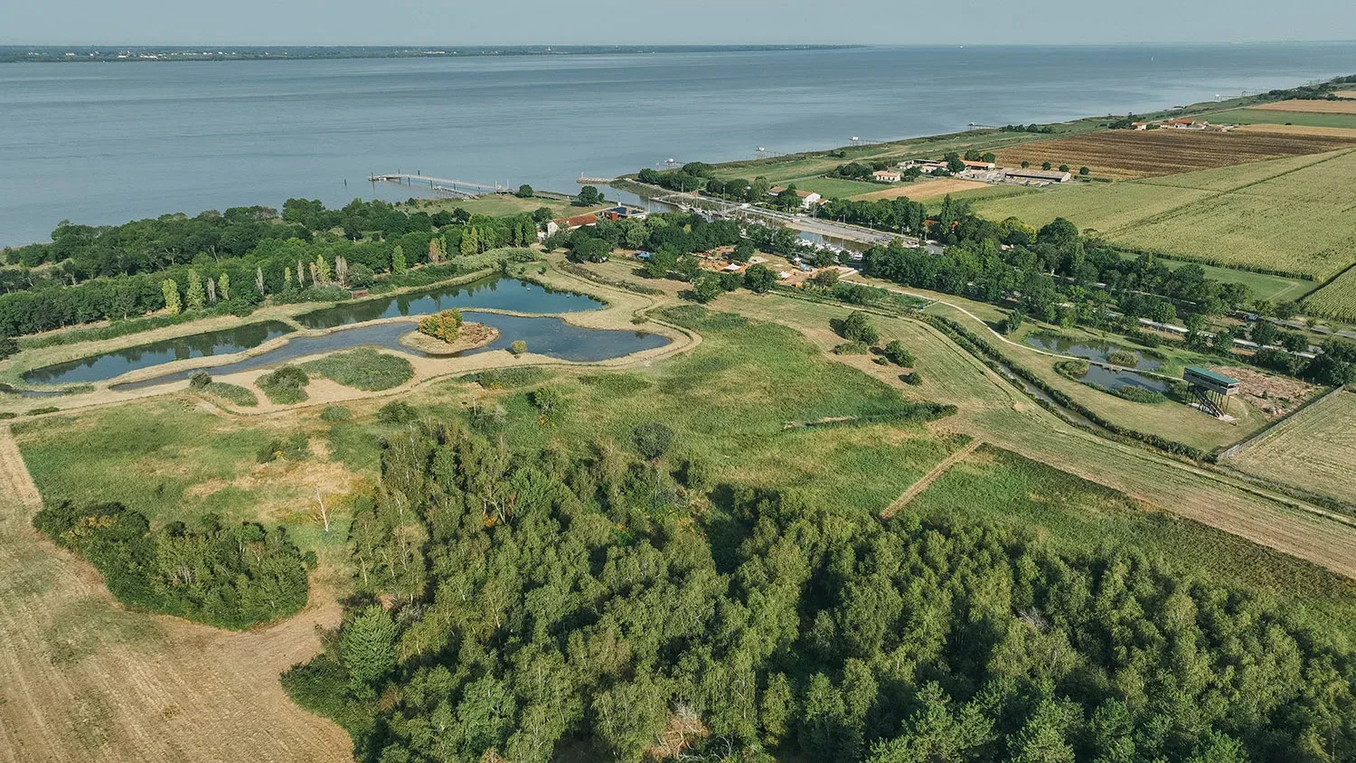 <strong>Estuary Paths in Blaye and Bourg</strong>