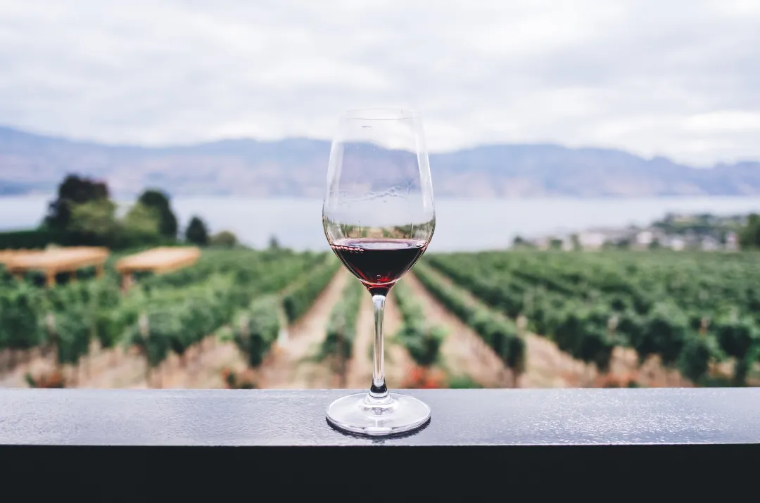 <strong>Take a Day Trip to the Vineyards</strong>