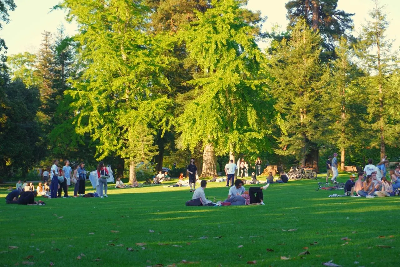<strong>Jardin Public &ndash; The Most Popular Garden in Bordeaux</strong>