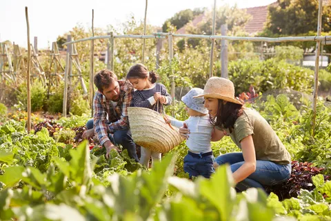 Food Producers Around Bordeaux: Farm Visits and Artisans