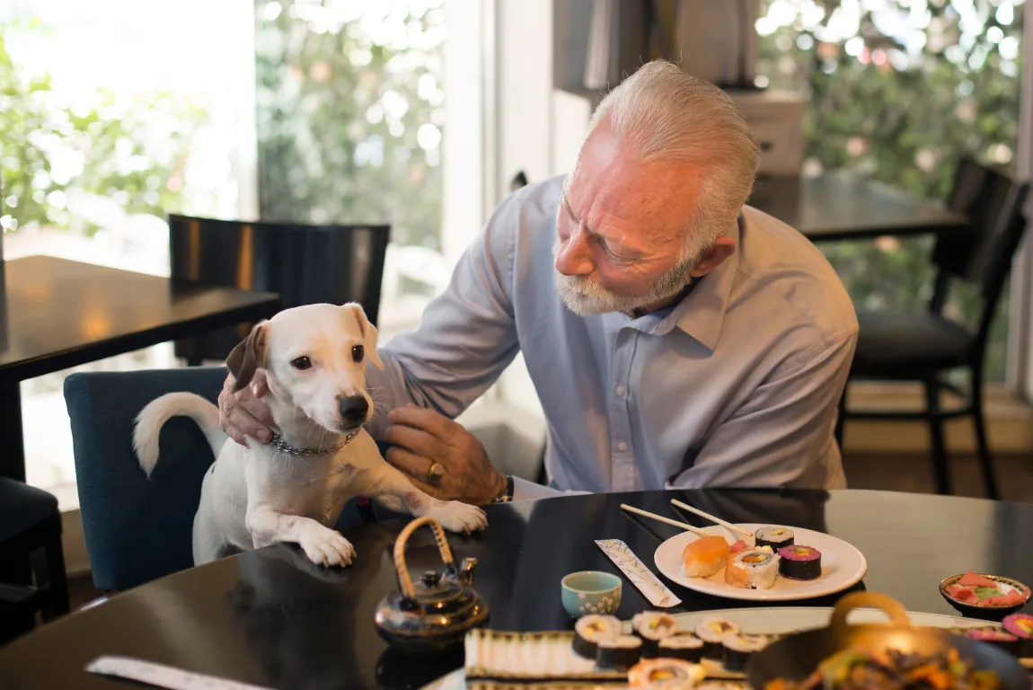 Pet-Friendly Cafés and Relaxed Places to Eat
