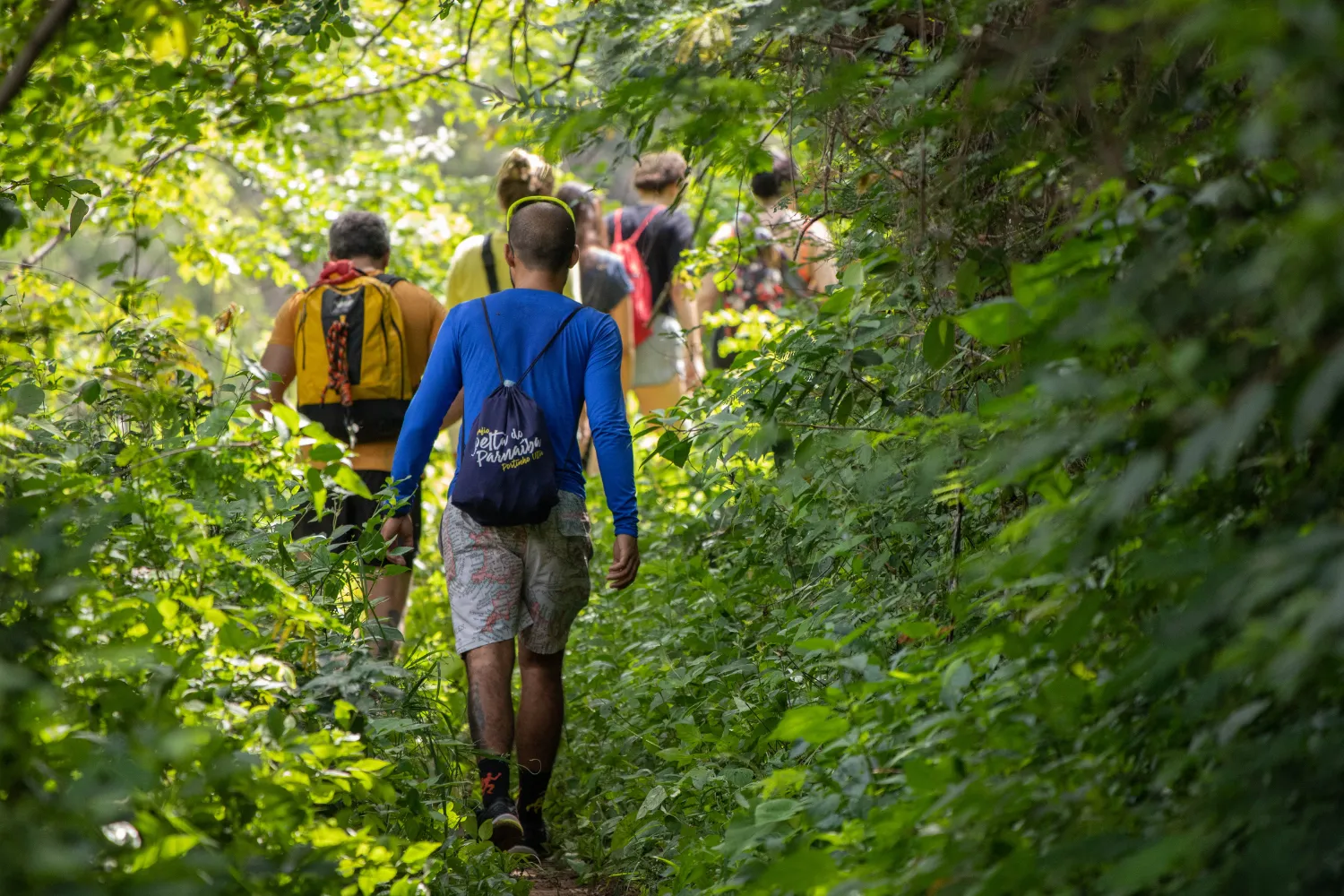<strong>GR Bordeaux M&eacute;tropole: A Loop Trail Through City and Nature</strong>