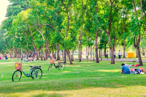 Visit Parc Bordelais in Bordeaux for family fun, nature walks, and local charm. A must-see green space near the city centre with free entry.