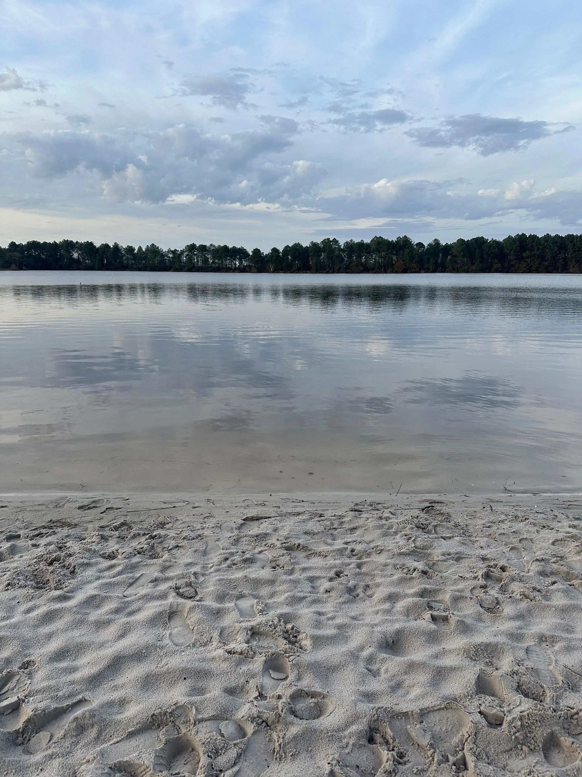 <strong>Hostens Lakes and the Landes Forest</strong>