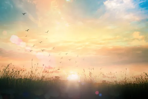 Discover Bordeaux’s most beautiful sunrise spots, from riverside views to hilltop parks