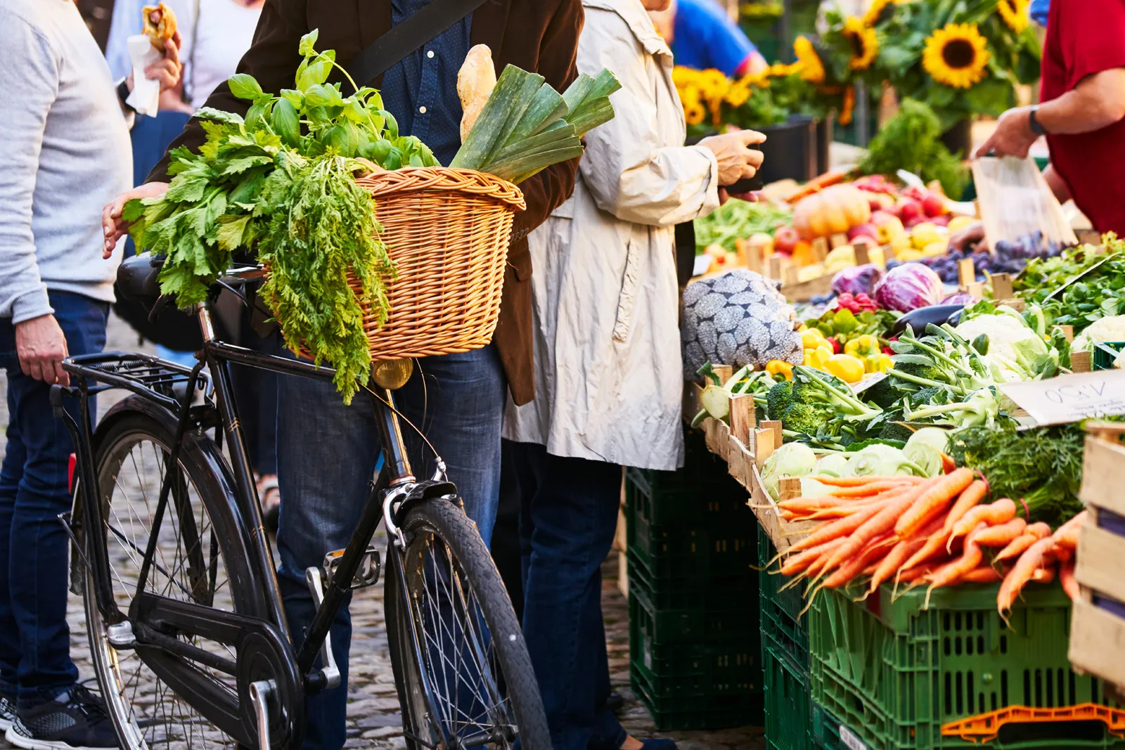 Farmers’ Markets and Local Fairs