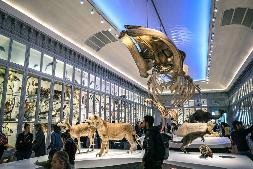 Museums, Art, and Culture