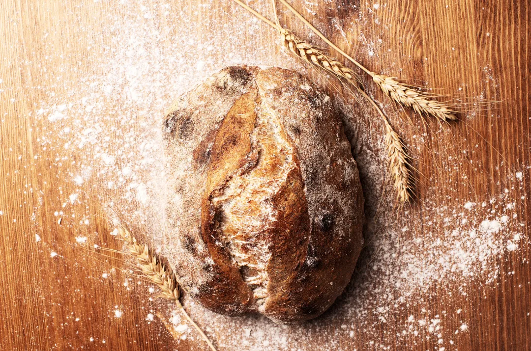 ANTONE Artisan Boulanger Bordeaux