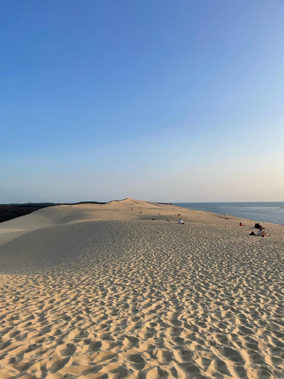<strong>12. Europe&rsquo;s tallest sand dune is just outside Bordeaux</strong>