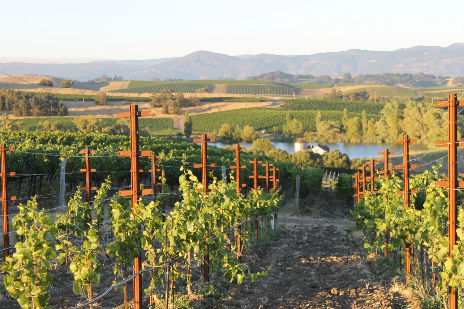 <strong>Where to Experience the Harvest</strong>