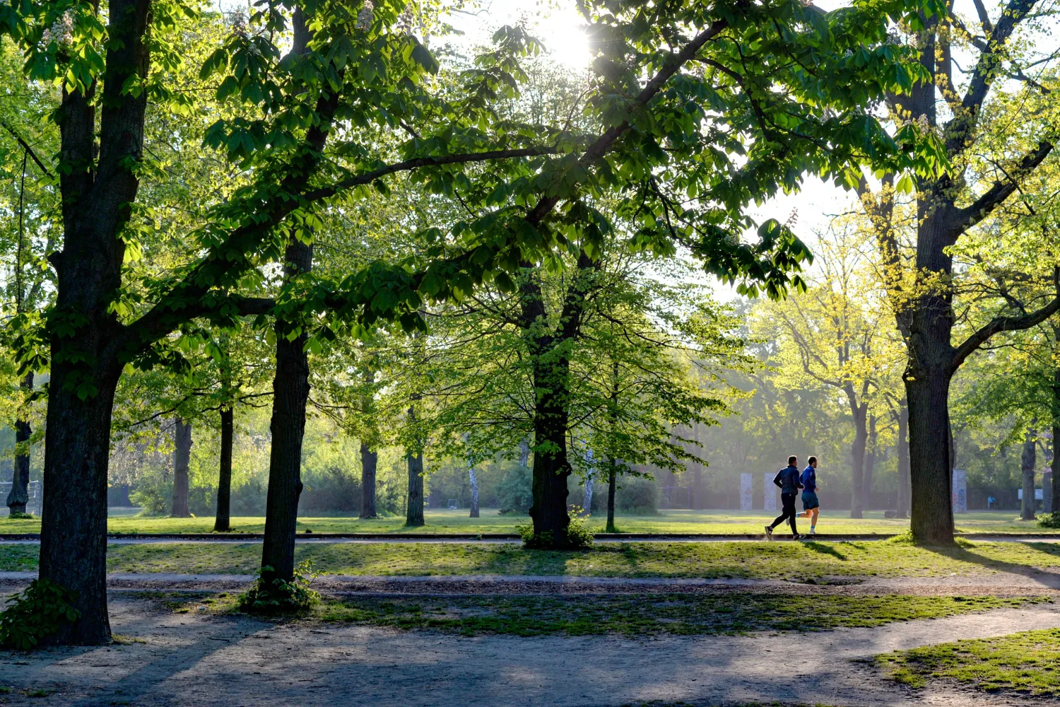 <strong>Parc Bourran &ndash; Historic Park in M&eacute;rignac</strong>
