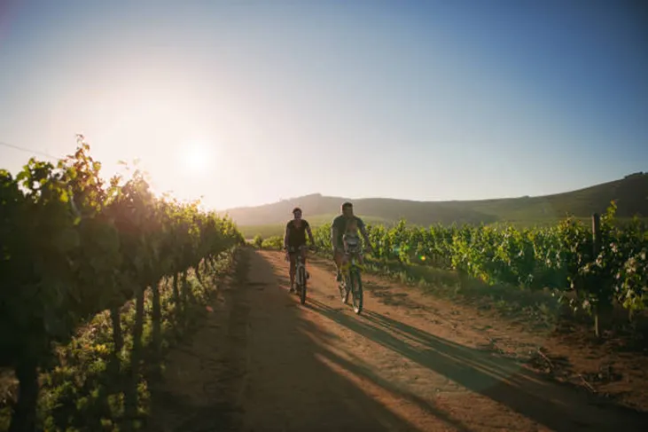 <strong>Things to do in Bordeaux in June</strong>