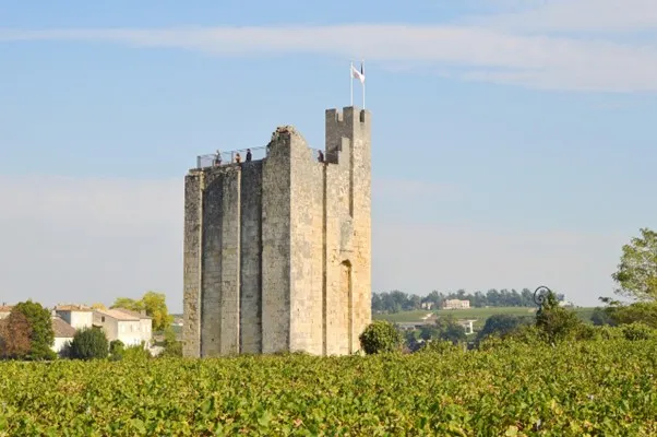 Day Trips from Bordeaux