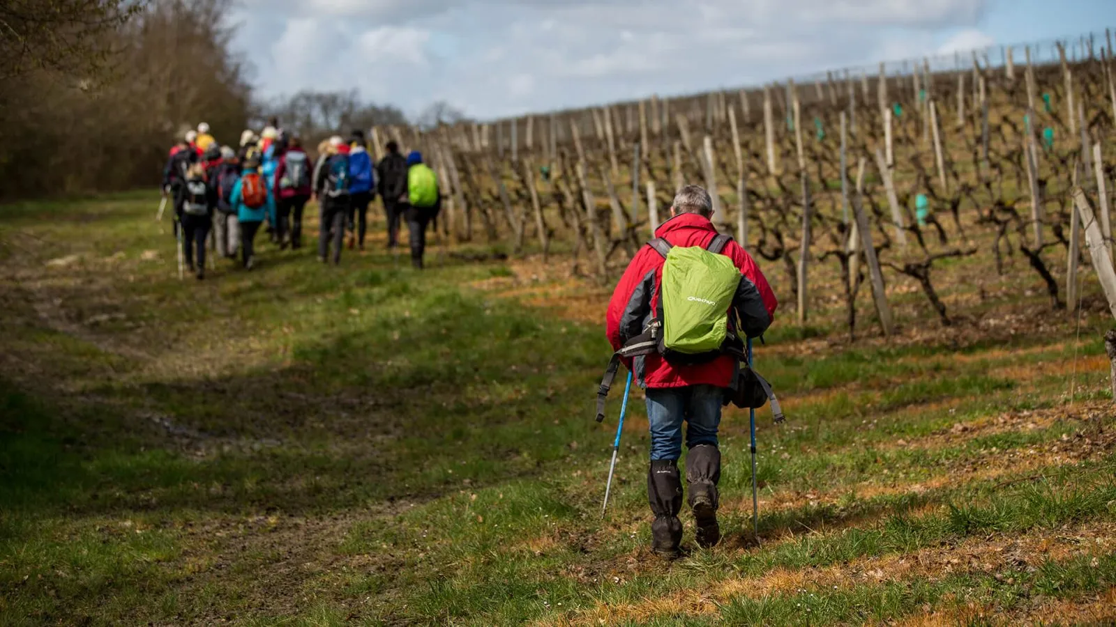 <strong>M&eacute;doc Estuary Hikes: Wine and Wetlands</strong>