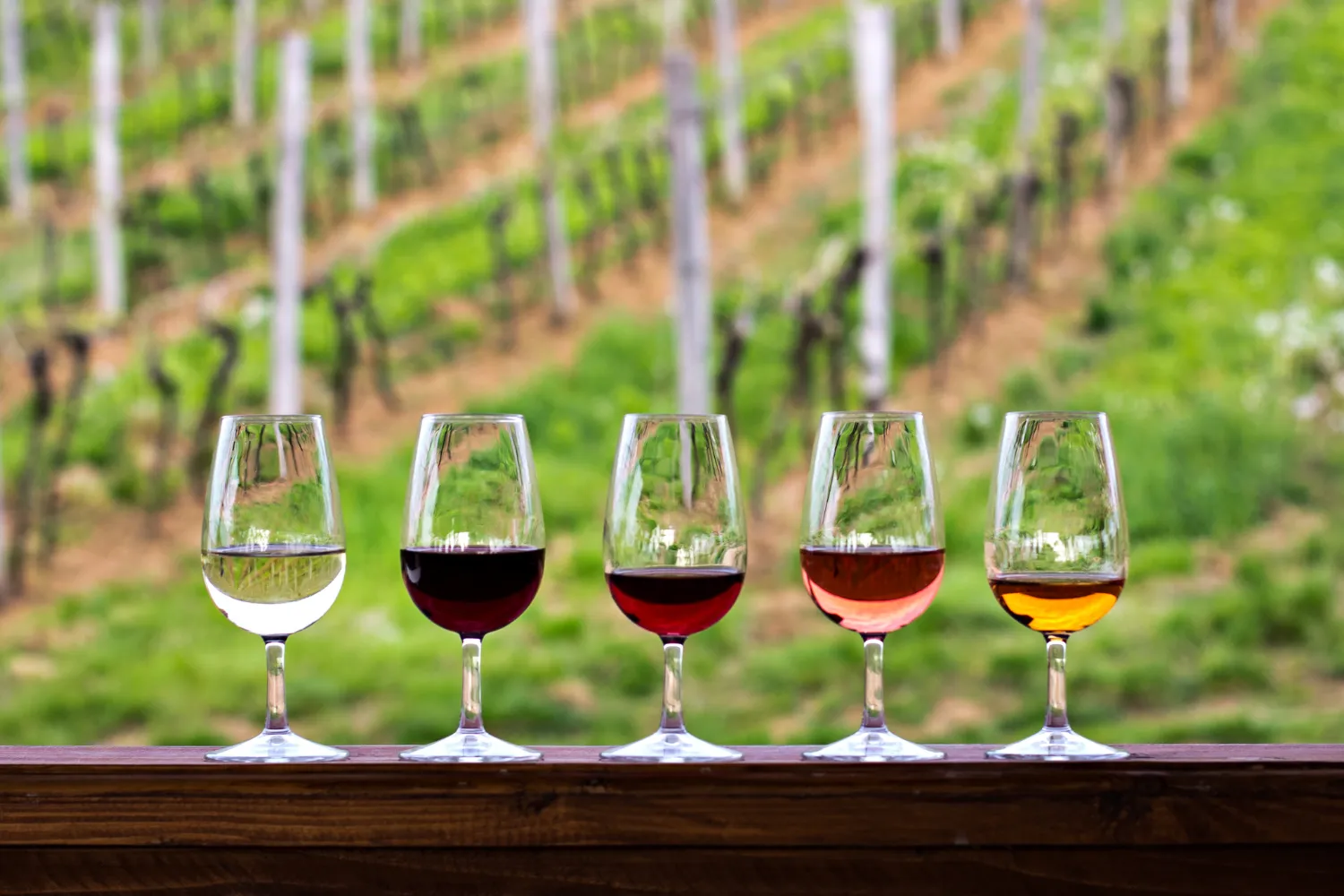 <strong>Accessible Wine Country and Outdoor Life</strong>