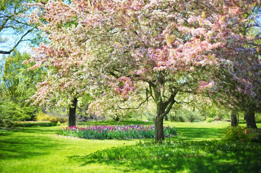Beginning of Spring season