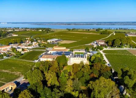 The Central Médoc: Vineyards Gaining Structure